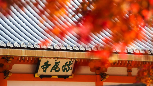 Osaka Katsuo Sacred Site + Otagi Nenbutsu-ji Temple + Kyoto Arashiyama Day Tour, Spirited Away Inspired Day Tours