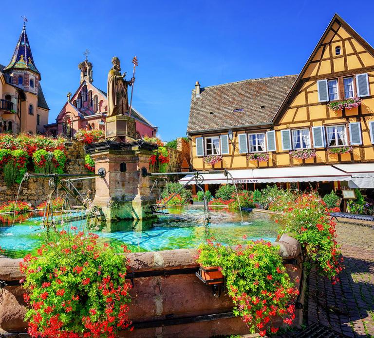 From Colmar: Alsace wine route tour Half Day
