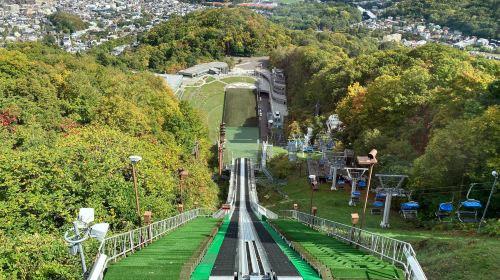 Hokkaido, Japan Okurayama Ski Jumping Stadium + White Lover Park Half Day Tour: Sapporo Morning Sightseeing Day Tours