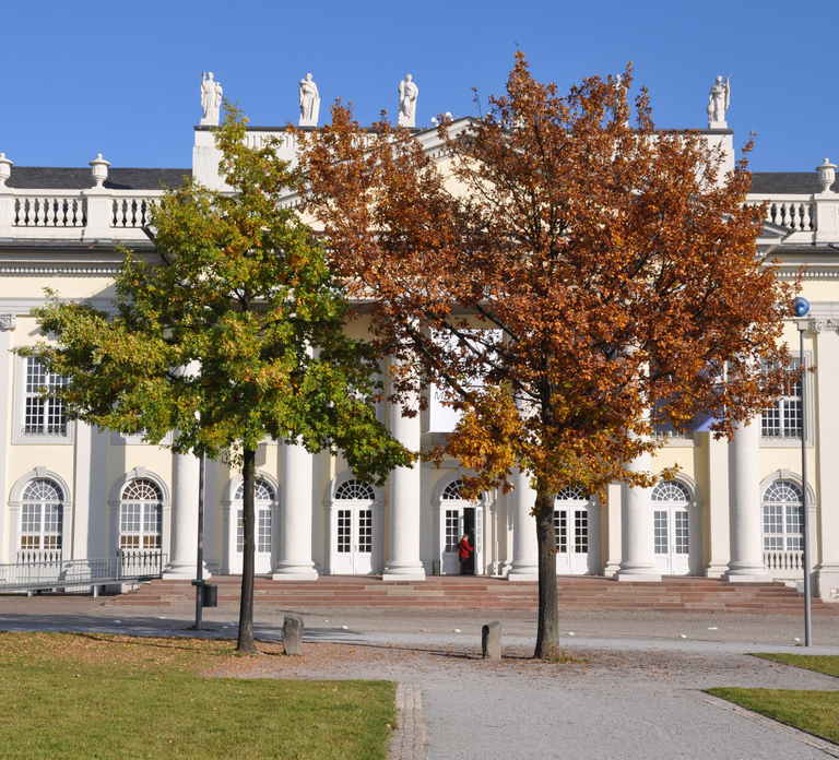 Kassel: Historical Walking Tour through Kassel