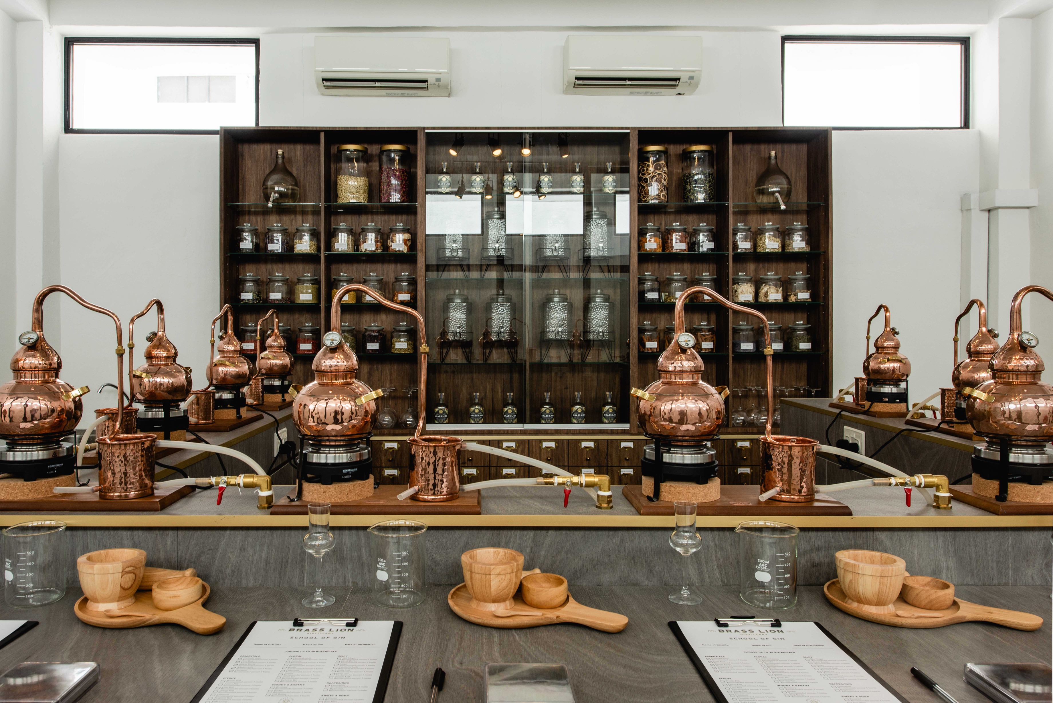 Brass Lion Gin School - HolidaySG