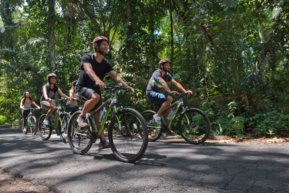 Mountain Cycling - HolidaySG