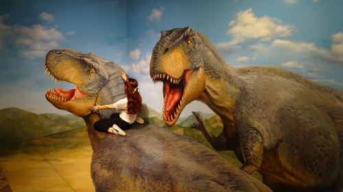 TOKYO TRICK ART MUSEUM