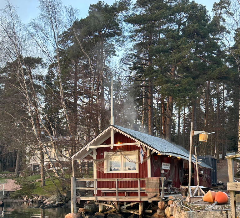 Furuvik seaside sauna: Sauna and Cold Plunge Experience