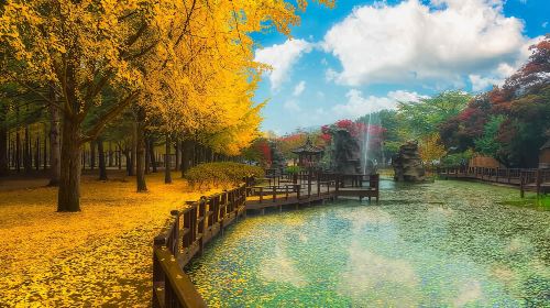 Nami Island/Rail Bike/Petite France/Garden of Morning Calm/Begonia Garden Tour Day Tours