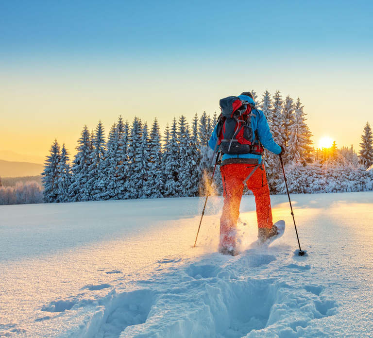 Levi: Gentle Snowshoe Walk in Winter Wilderness