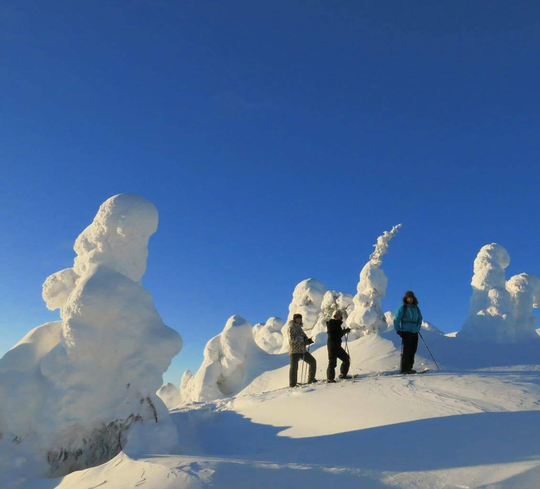 From Ruka: Snowshoeing in Riisitunturi National park