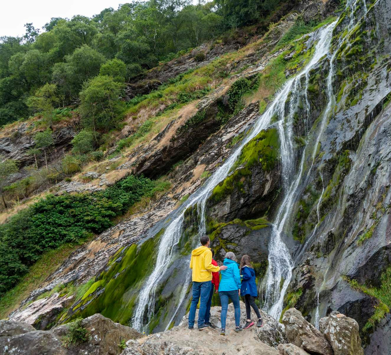 From Dublin: Wicklow, Glendalough, Waterfall & Sheepdog Demo