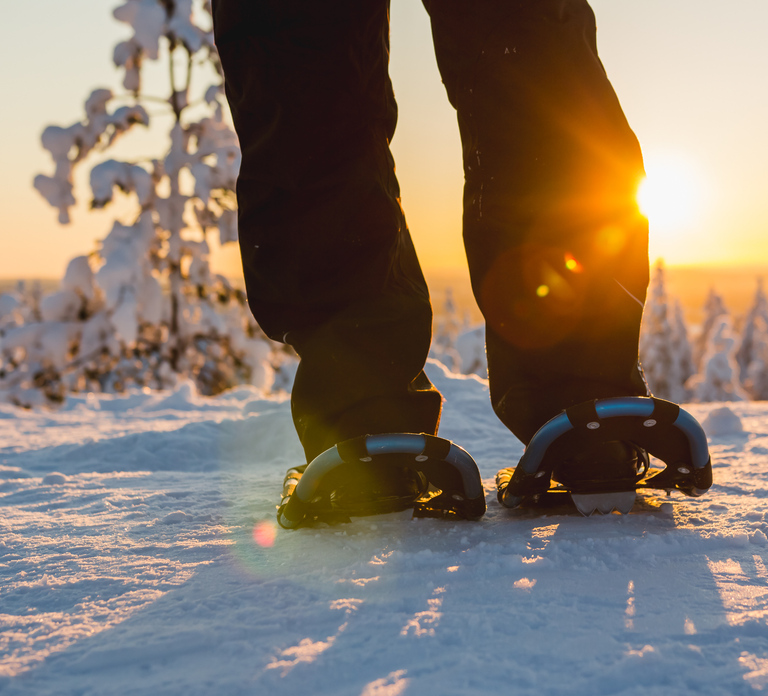 Levi: Scenic Levi Snowshoe Trip