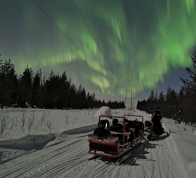 Levi: Northern Lights Sledge Ride