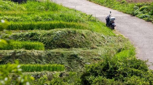 Rental Motorcycle Tour in Kyoto: Arashiyama & West Temple