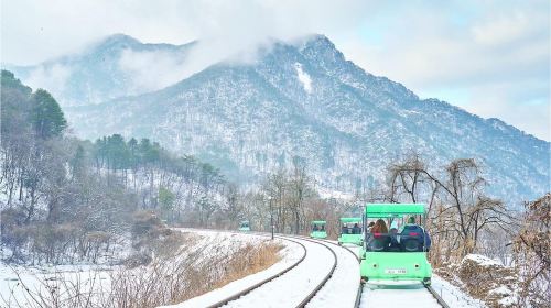 Eobi Ice Valley & Nami (+ Light Festival, Railbike, Alpaca) Day Tours