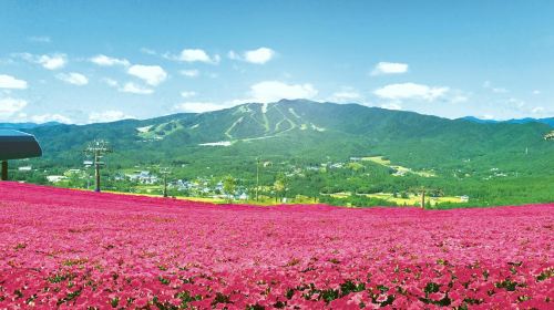 Hirugano plateau - HolidaySG