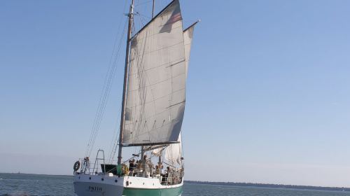 Charleston: Schooner Sailing Experience & Dolphin Watch Day Tours