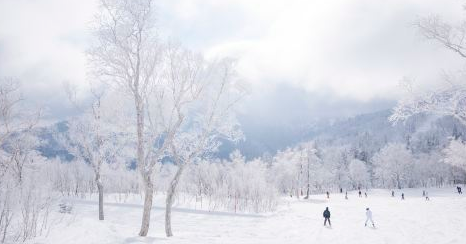 Private International Ski Lessons in Sapporo, Hokkaido [Internationally Certified Instructors | Instruction in Chinese/English]