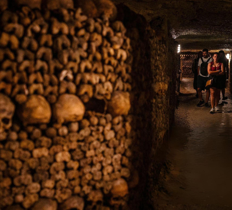 Paris Catacombs Visit with Transfer (Self-Guided)