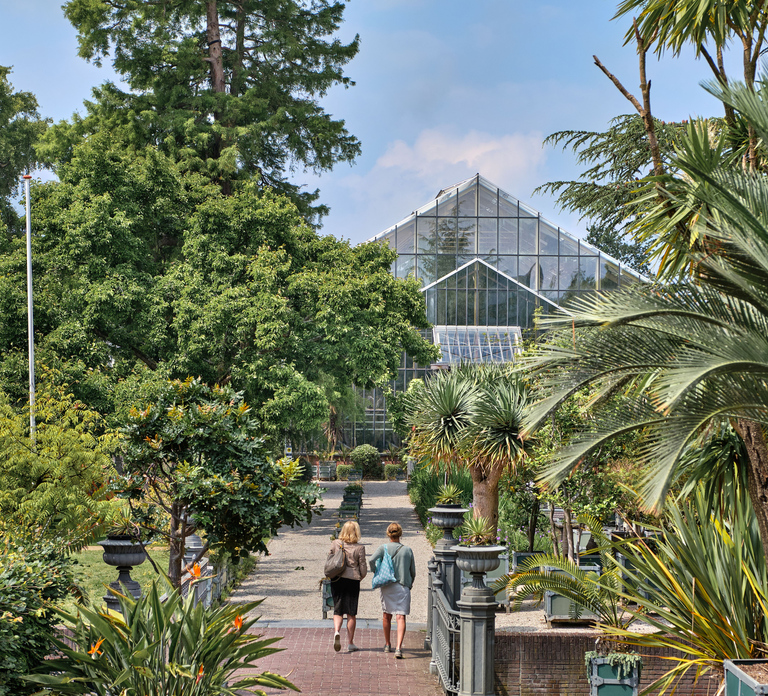 Leiden: Hortus Botanicus Entry Ticket
