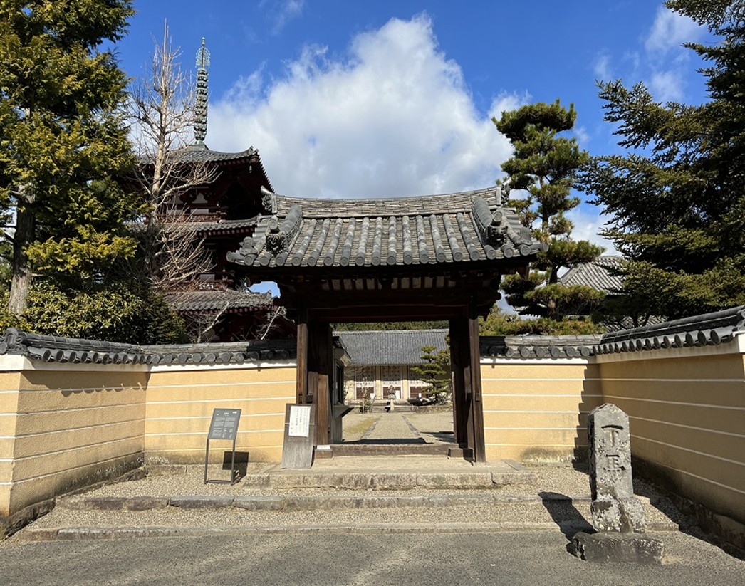 Kansai Area Pass