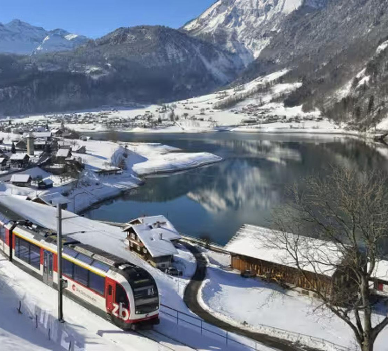 From Zurich: Premium Panoramic Train, Lucerne & Interlaken