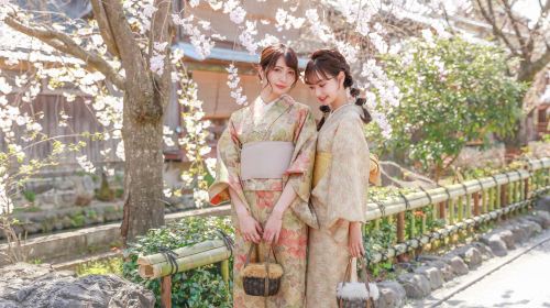 Kyoto's Popular Kimono Rental Shop Kyomachiya | Prime location with direct access to Kiyomizu-dera Temple and Gion Shijo. Offers a variety of exquisite and fashionable kimonos, perfect for sightseeing