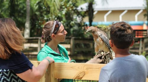 Orlando: Central Florida Zoo Skip-the-Line Ticket Day Tours