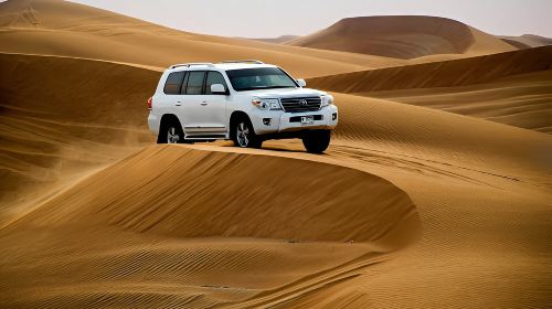 Evening Red Sand Dunes Desert safari with Pickup & Dropoff from Hotel/Home Day Tours