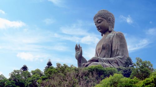 Lantau Island Tour: Ngong Ping 360, Tian Tan Buddha, Tai O Village & Dolphin Encounter Day Tours