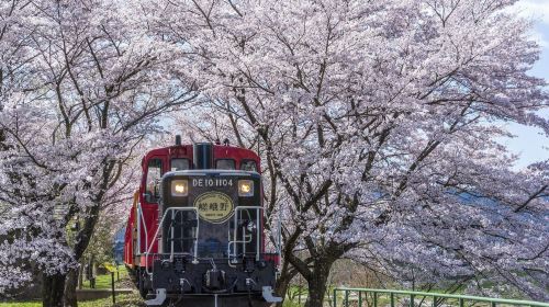 Hankyu One-Day Pass & Sagano Sightseeing Train one-way E-Ticket Combo [Limited-Time Offer - Valid until December 29, 2025] Transport Passes