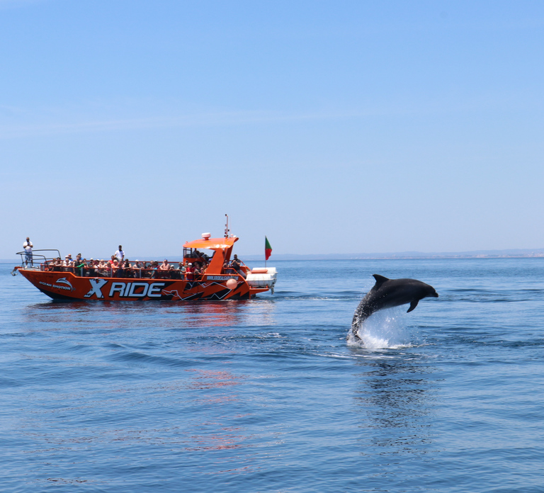 Albufeira: Dolphin Watching and Benagil Cave
