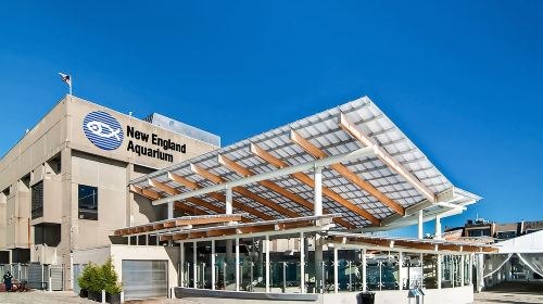 Boston: New England Aquarium Entry + Optional Simons Theatre Day Tours
