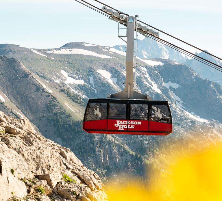 Jackson Hole: Aerial Tram and Gondolas Sightseeing
