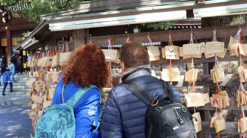 Private Tokyo Early Bird Tour: English-Speaking Local Guide! Day Tours