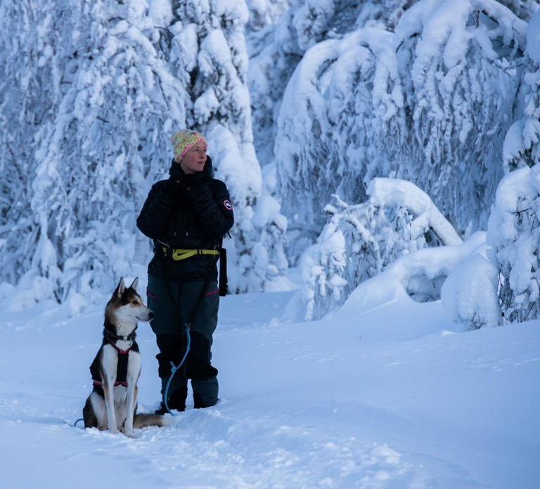 Äkäslompolo: Snowshoeing Adventure in Lapland