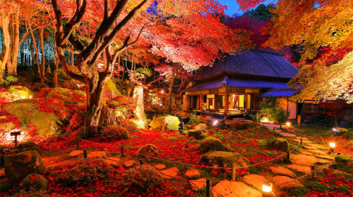 Kyoto Hiei Mountain Enryaku-ji Temple + Omihachiman + Kyorinbo Temple red maple lighting day tour, includes lighting admission ticket Day Tours
