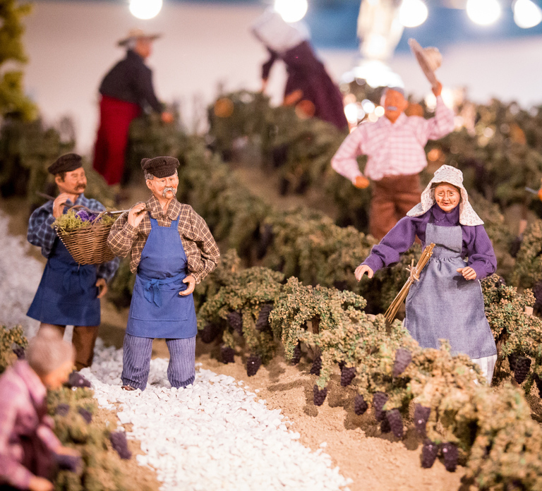 Domaine Bacchus: miniature vineyard & Champagne tasting