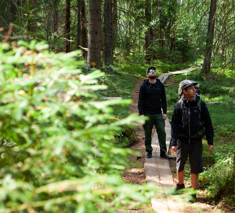From Helsinki: Magical Taiga Hike in Liesjärvi National Park