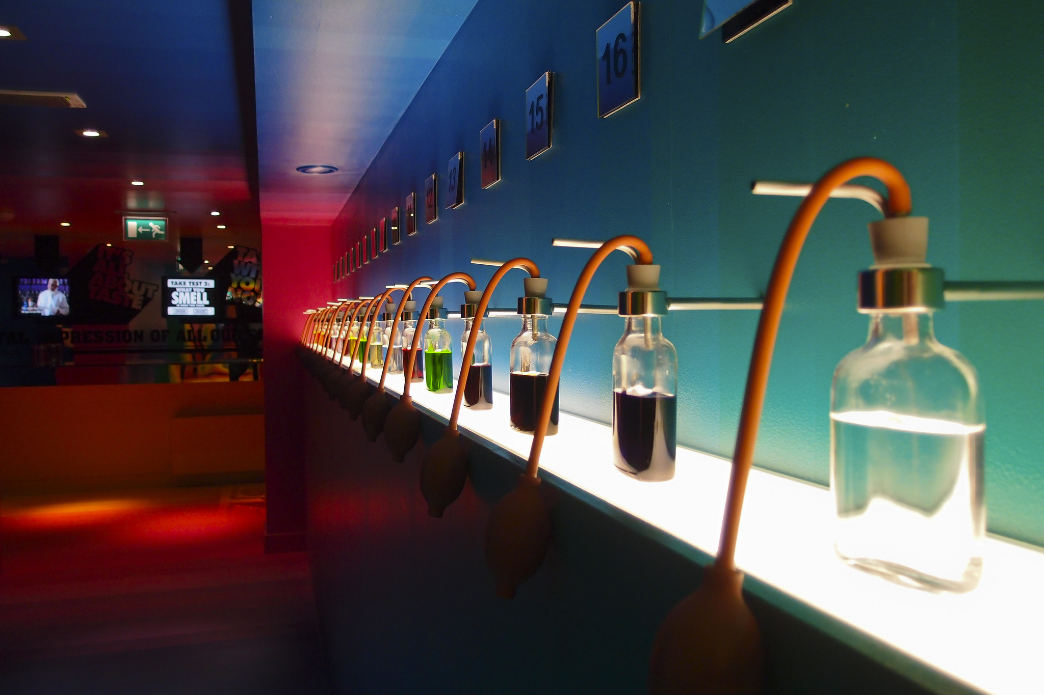 Bols Cocktail Experience