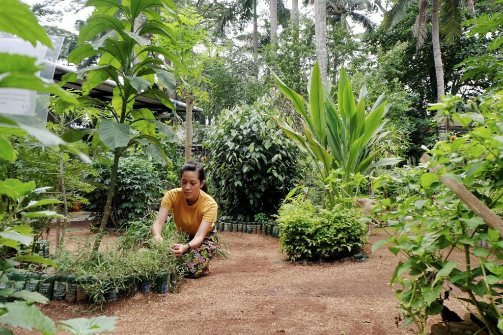 Tour Kebun Kumara by Campa - HolidaySG