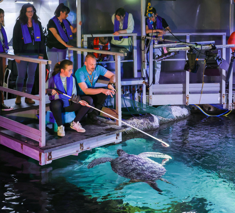 Timmendorfer Strand: SEA LIFE Behind the Scenes Tour