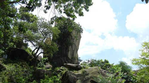 4-Hour Small Group Kowloon Sightseeing Tour