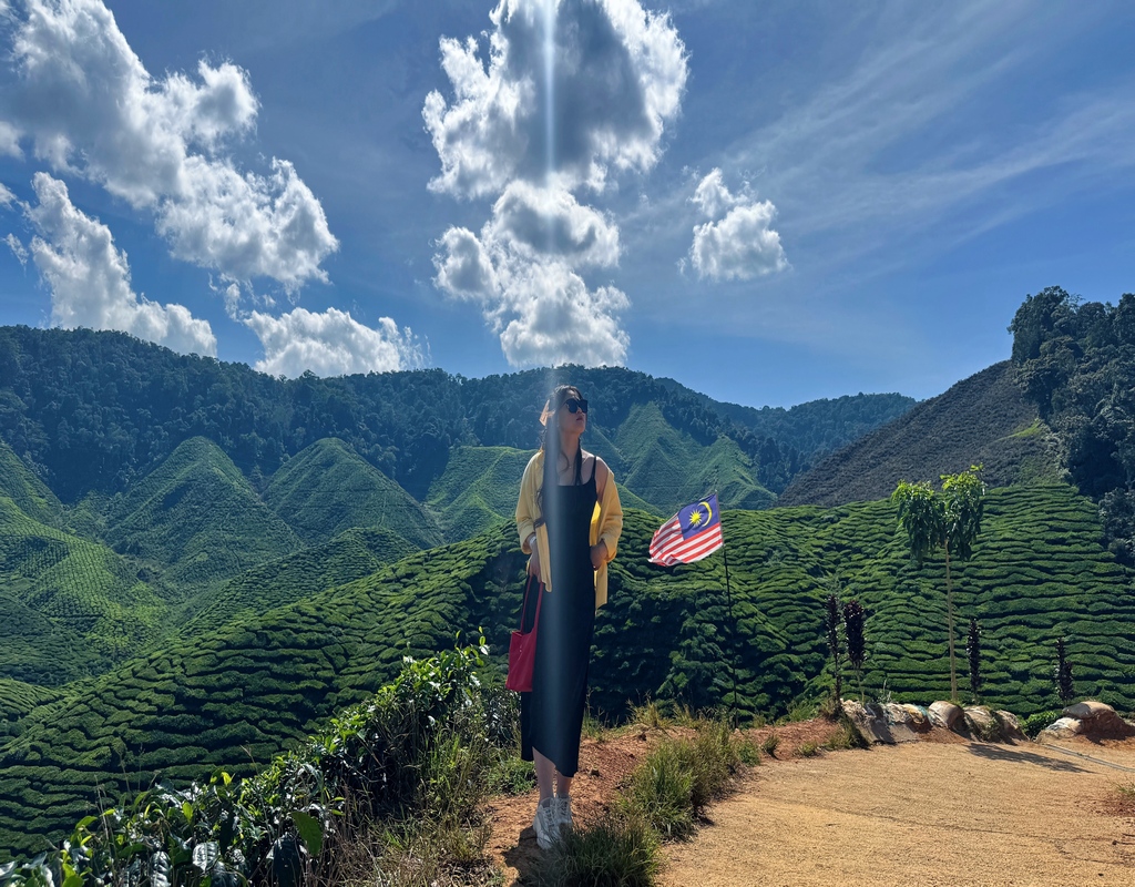 Cameron Highlands Day Tour from Kuala Lumpur with Lunch (Guided Tour) - HolidaySG