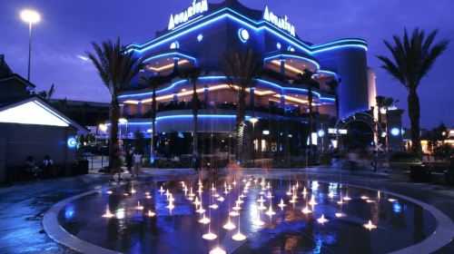 Houston: Downtown Aquarium All Day Pass Day Tours