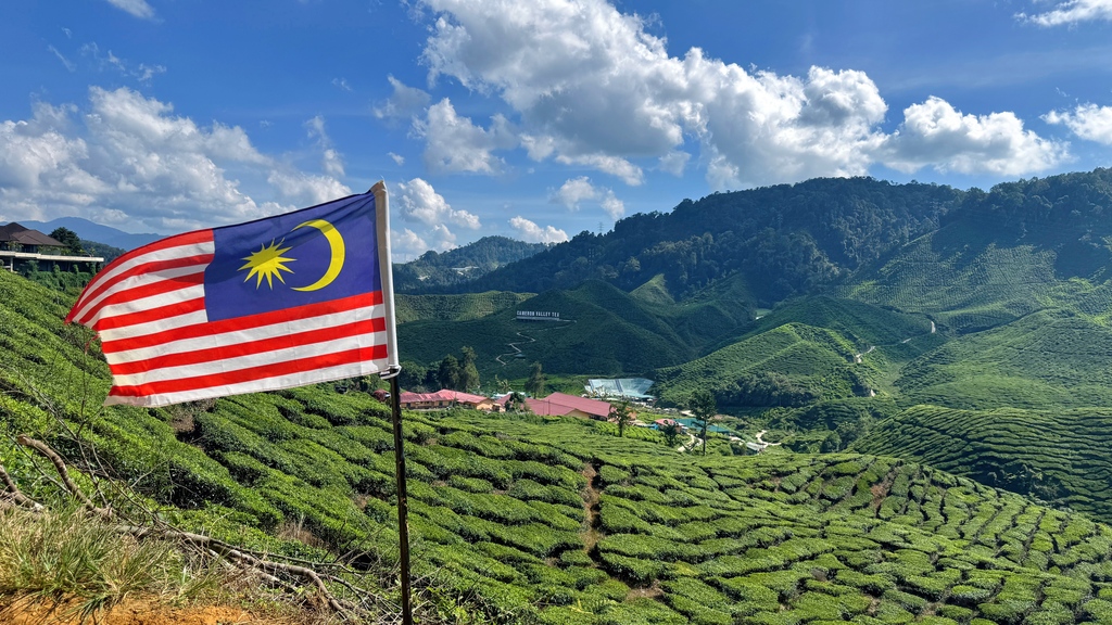 Cameron Highlands Day Tour from Kuala Lumpur with Lunch (Guided Tour)