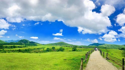 Taipei Day Tour: Beitou, Geothermal Valley, Yangmingshan, Yehliu Day Tours