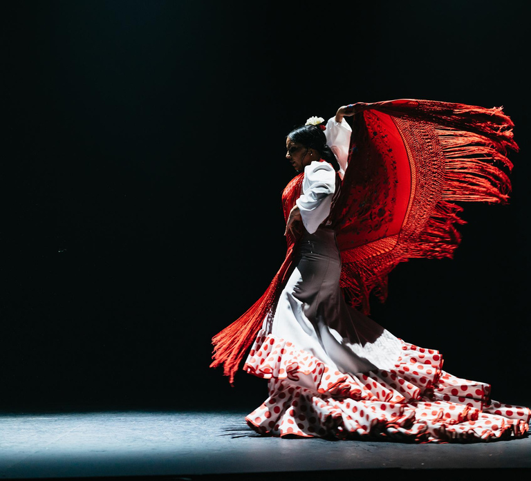 Seville: Live Flamenco Dancing Show Ticket at the Theater - HolidaySG