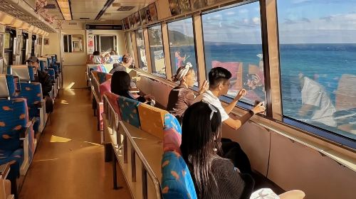 1-day tour to Jogasaki Coast, Mt. Omuro and the Seaside Train in Izu, Japan Day Tours