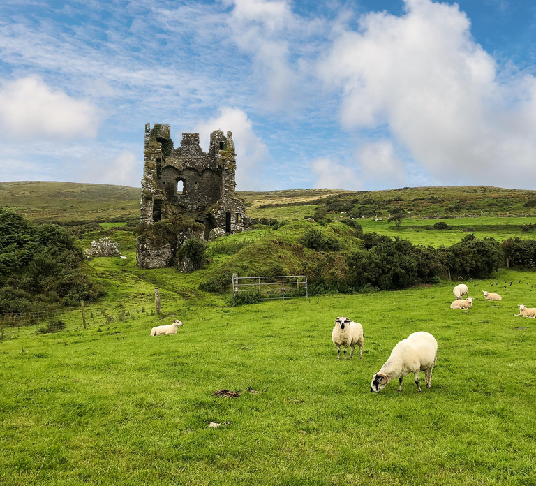Dingle: Heritage Photo And Sightseeing Tour