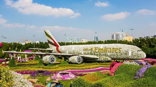 Dubai: Skip-The-Line Ticket to Dubai Miracle Garden Day Tours