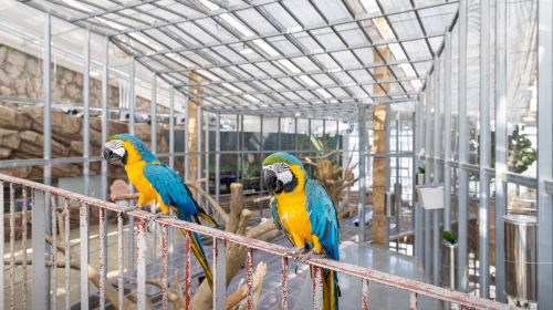 Osan Bird Park