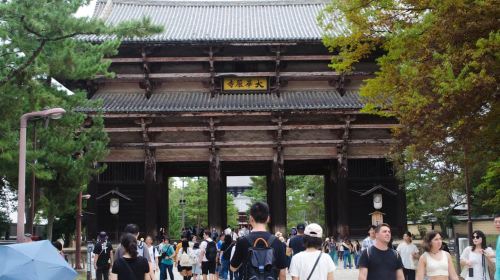 Nara: Private Walking Tour from Osaka Day Tours